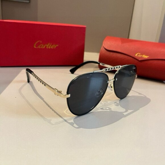 Cartier Black Oval Metal Frame Sunglasses - Picture 1 of 7